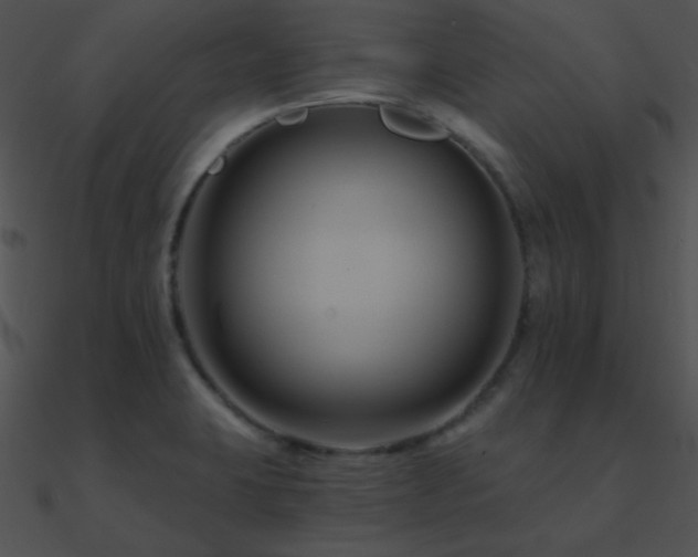 X0000090971423200708021427