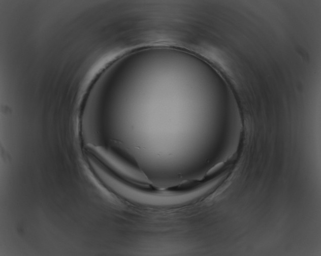 X0000090971424200708021427