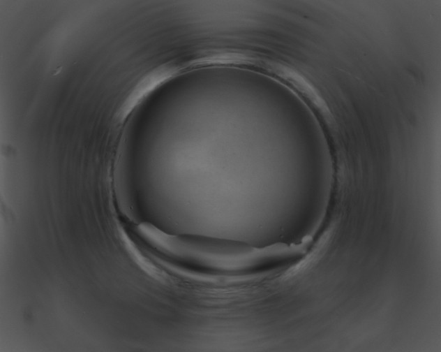 X0000090971425200708021427