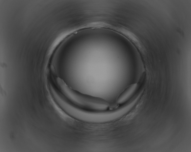 X0000090971430200708021427