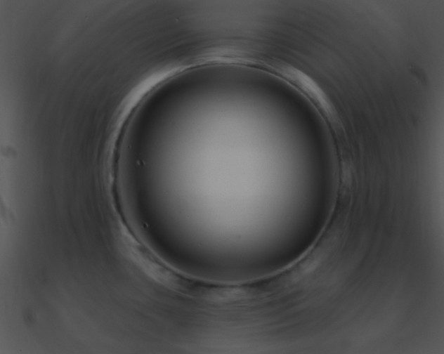 X0000090971435200708021428