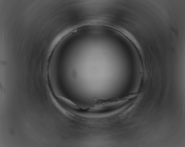 X0000090971437200708021428