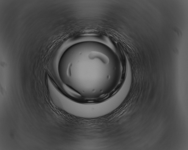 X0000090971441200708021427