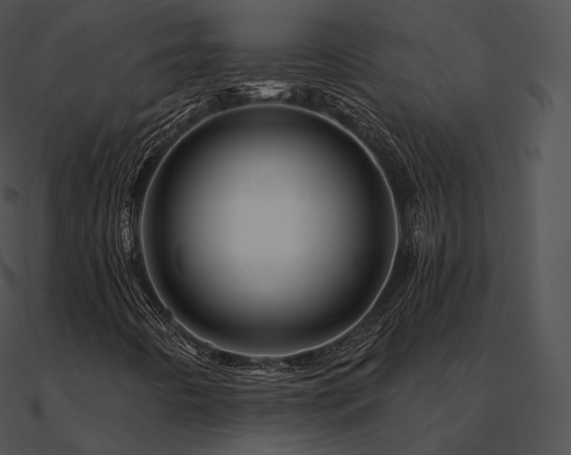 X0000090971442200708021427