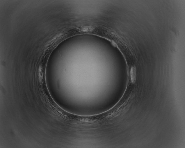 X0000090971443200708021427