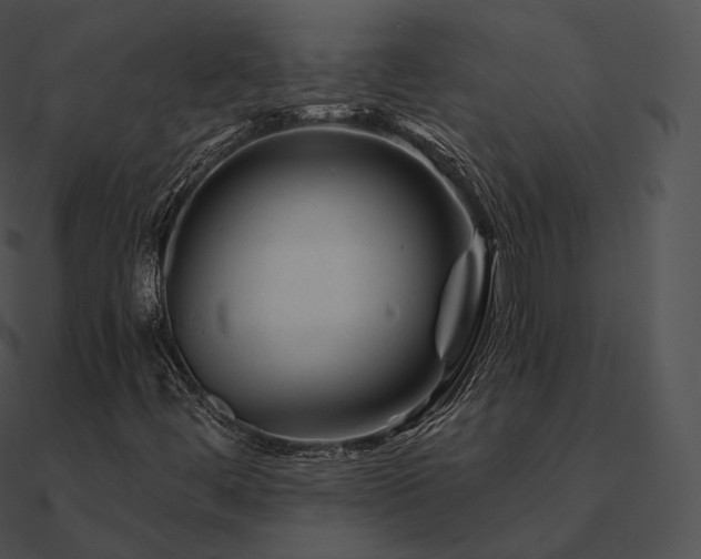 X0000090971444200708021427