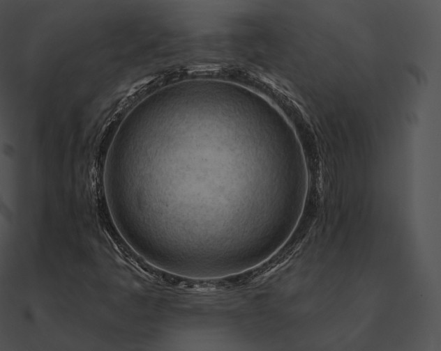 X0000090971445200708021427