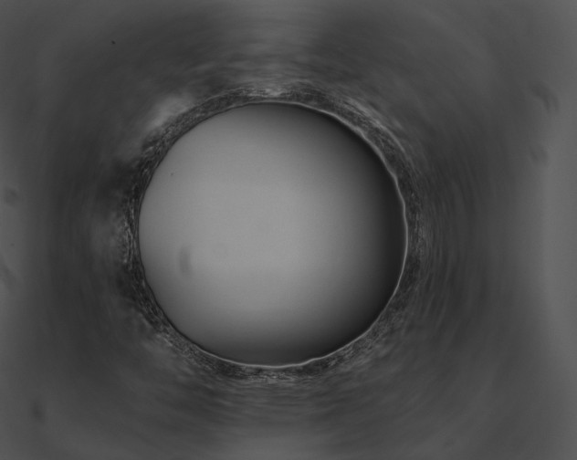 X0000090971446200708021427