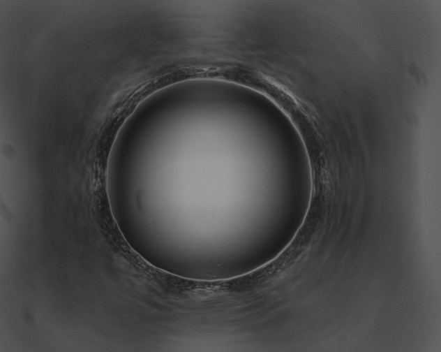 X0000090971447200708021427