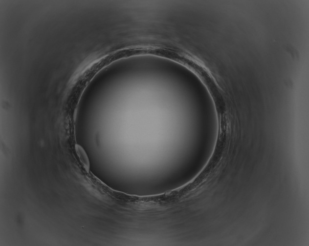 X0000090971448200708021427