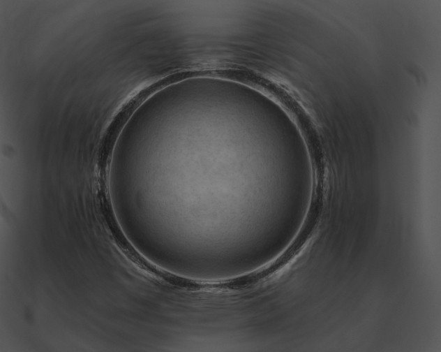 X0000090971449200708021427