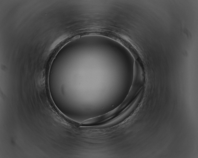 X0000090971450200708021427