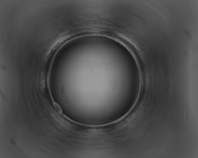 X0000090971451200708021427