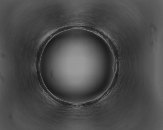 X0000090971452200708021427