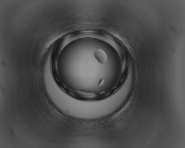 X0000090971453200708021427