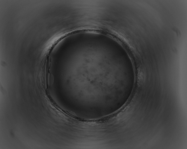 X0000090971455200708021427