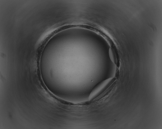 X0000090971456200708021427