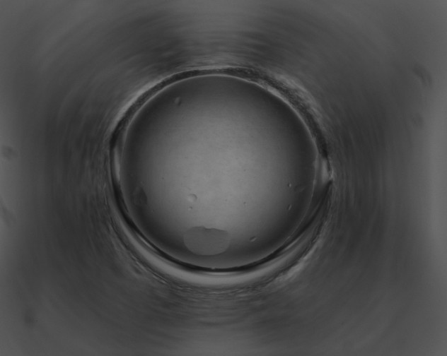 X0000090971457200708021427