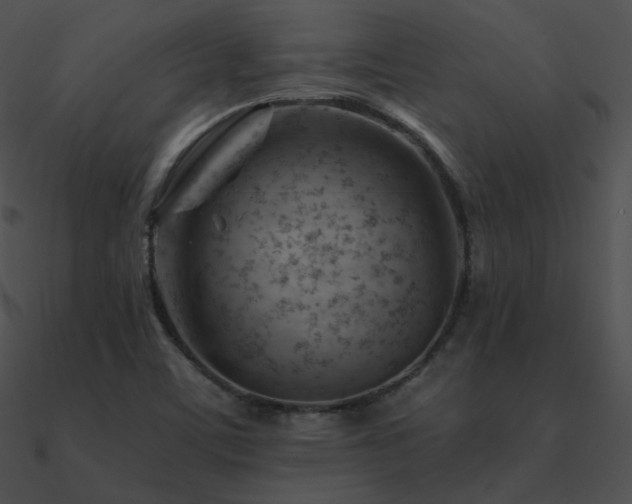 X0000090971459200708021427