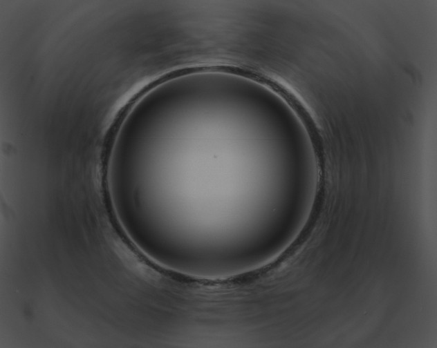 X0000090971460200708021427