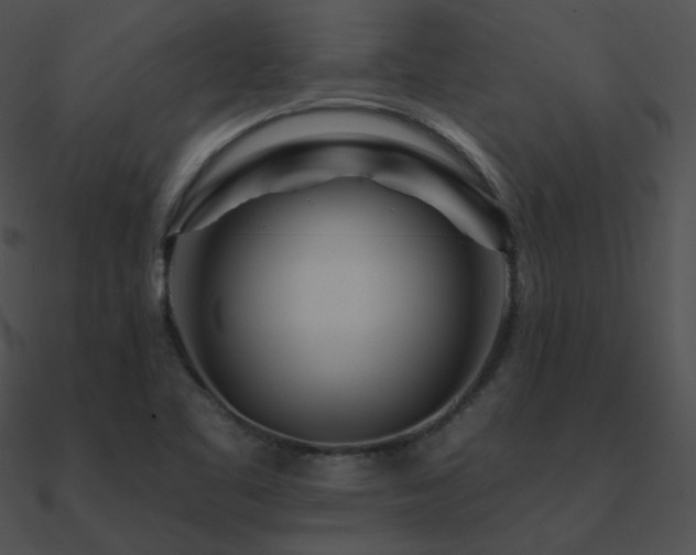 X0000090971461200708021427