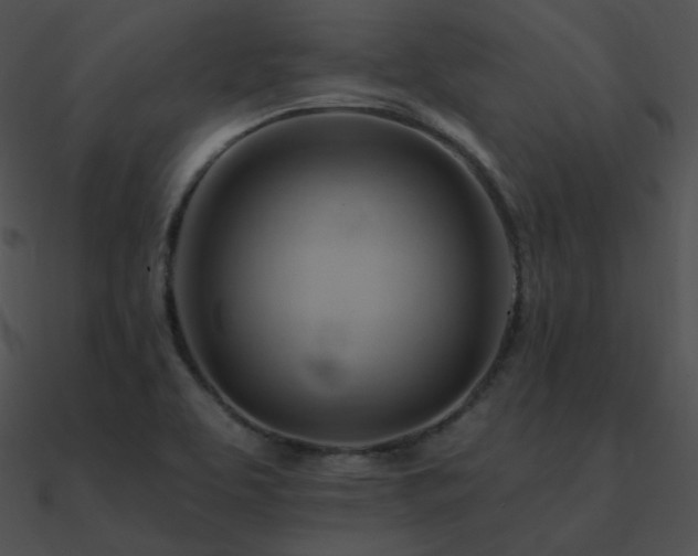 X0000090971463200708021427