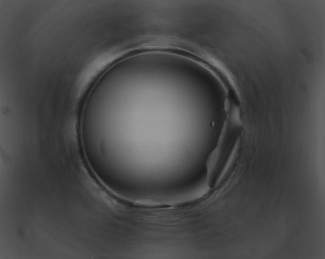 X0000090971464200708021427