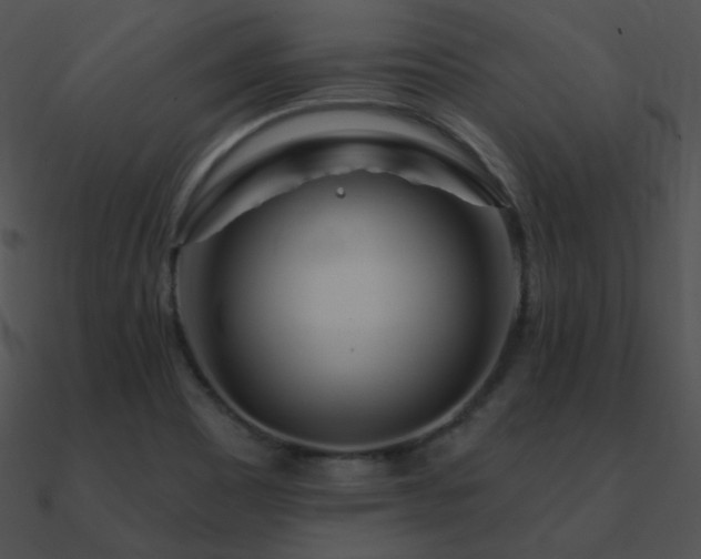 X0000090971465200708021427