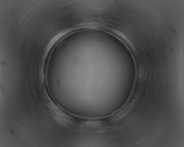 X0000090971466200708021427