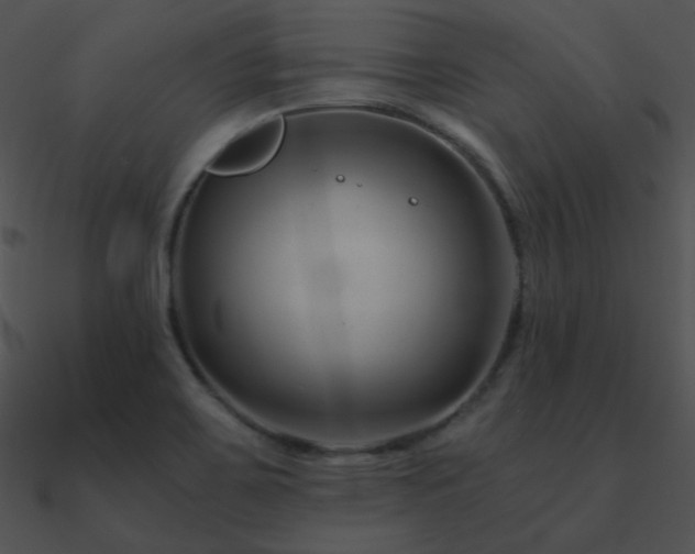 X0000090971467200708021427