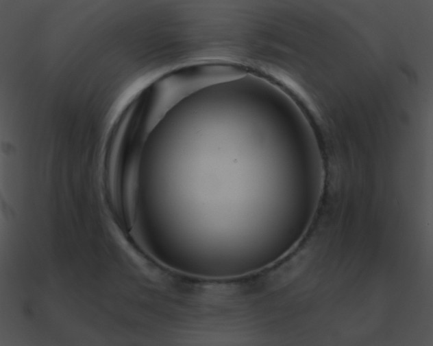 X0000090971469200708021427