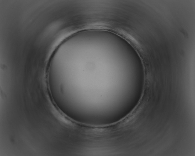 X0000090971470200708021427