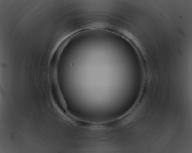 X0000090971473200708021427