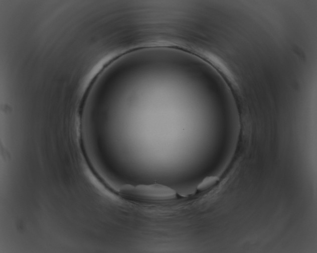 X0000090971476200708021427