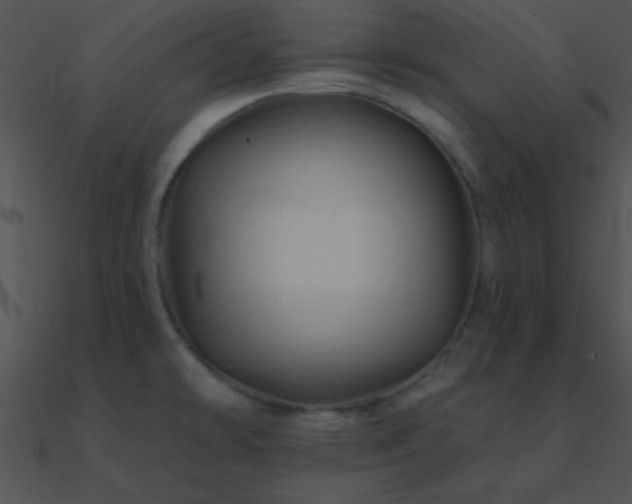 X0000090971478200708021427