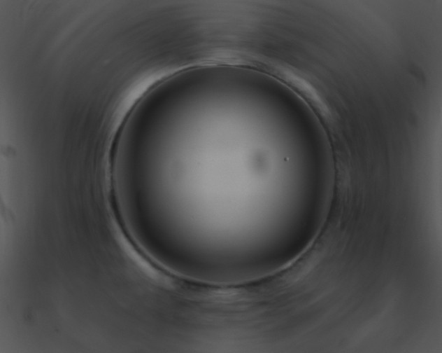 X0000090971479200708021427