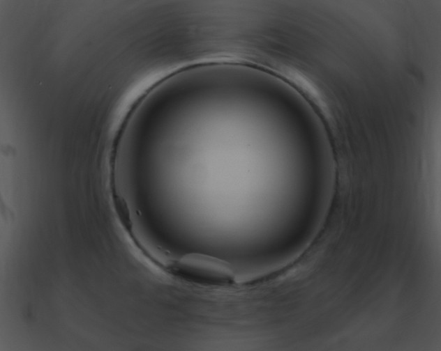 X0000090971480200708021427