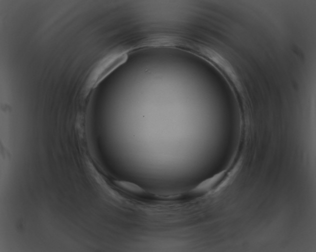 X0000090971481200708021426