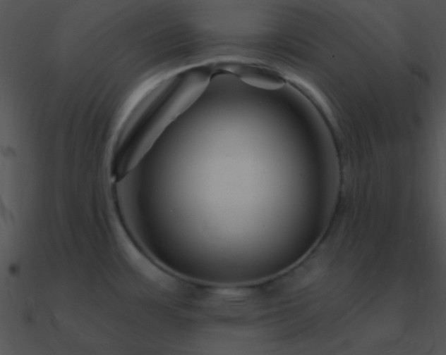 X0000090971483200708021426