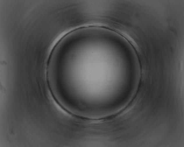 X0000090971484200708021426