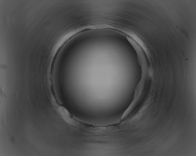 X0000090971485200708021426