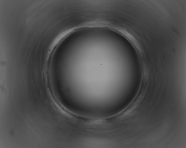 X0000090971486200708021426