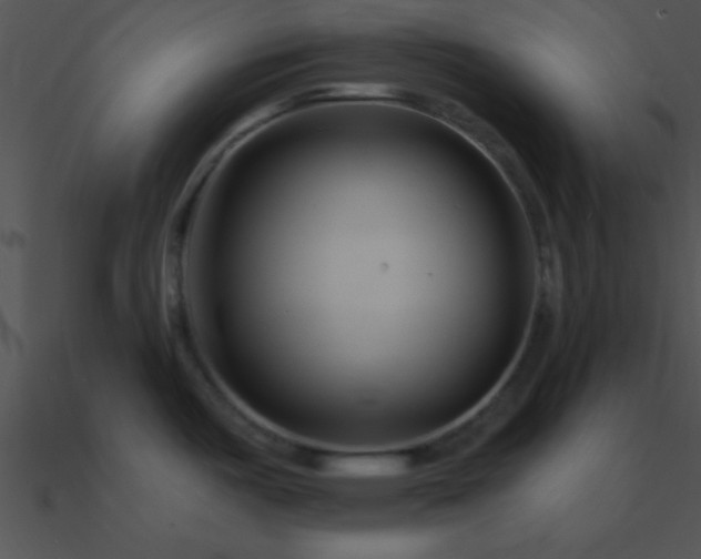 X0000090971487200708021426