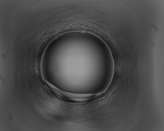 X0000090971490200708021426