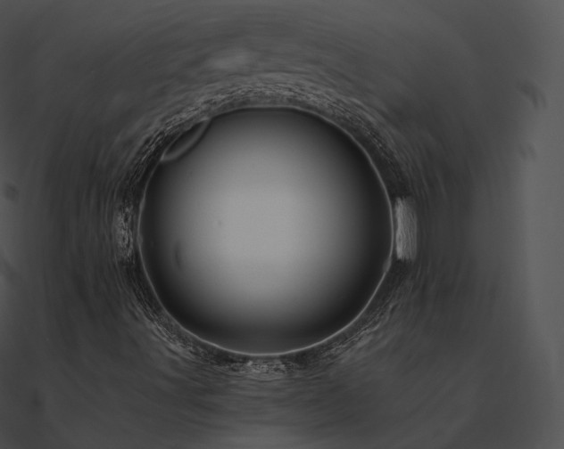 X0000090971491200708021426