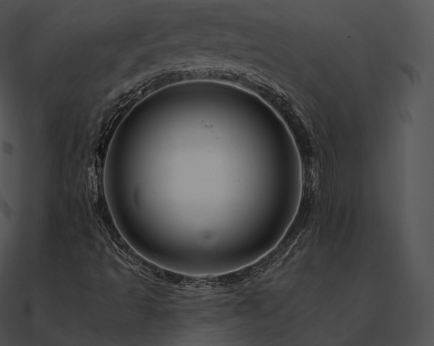 X0000090971493200708021426