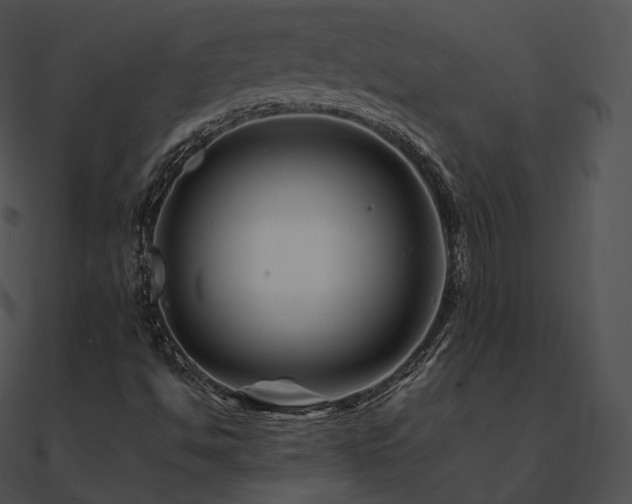 X0000090971494200708021426