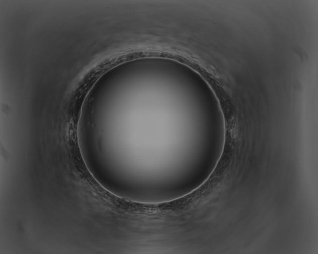 X0000090971495200708021426