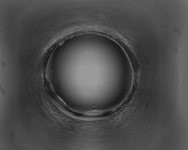 X0000090971496200708021426