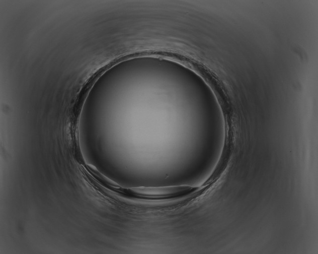 X0000090971497200708021426